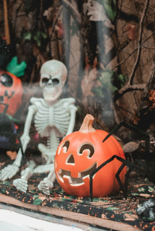 a display in a store window with a skeleton and jack - o'- lantern