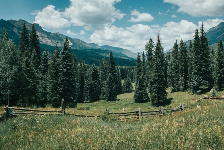 a grassy field with trees and mountains in the background