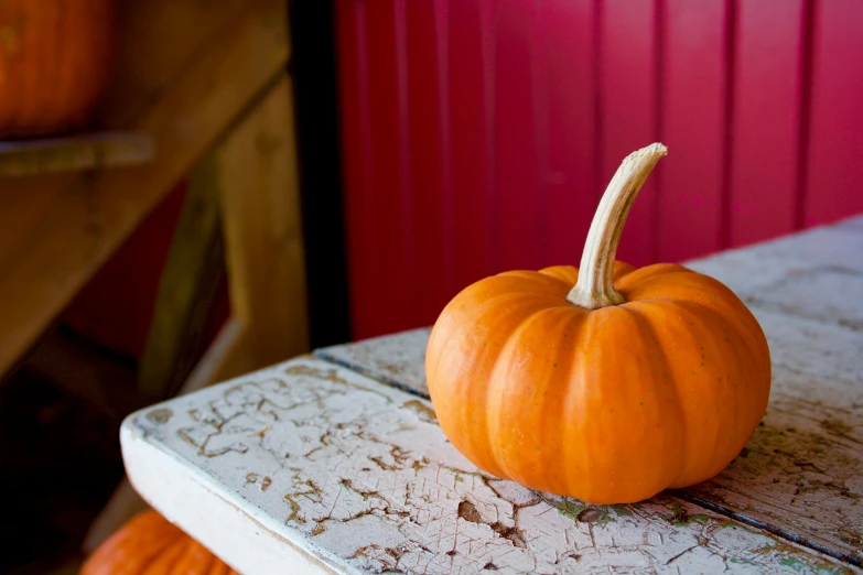 a tiny pumpkin is sitting on the end of a table