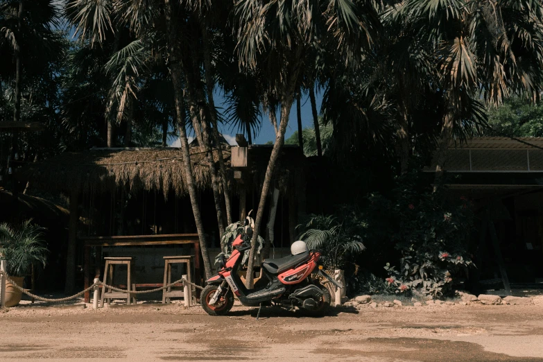 a red motorcycle parked in front of palm trees