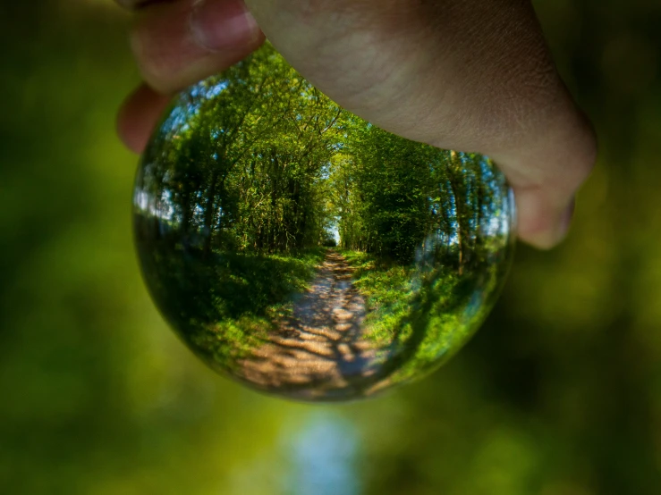 the reflection of two hands holding a clear ball of grass and trees