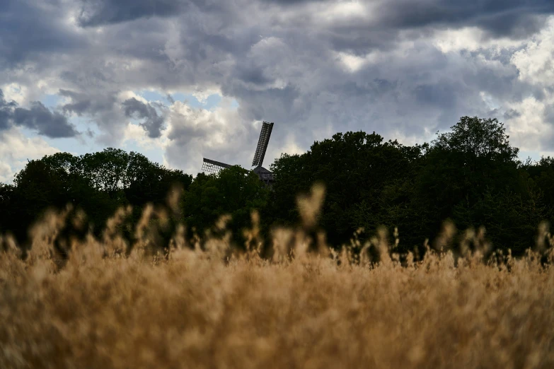 an open field has trees and a wind vane