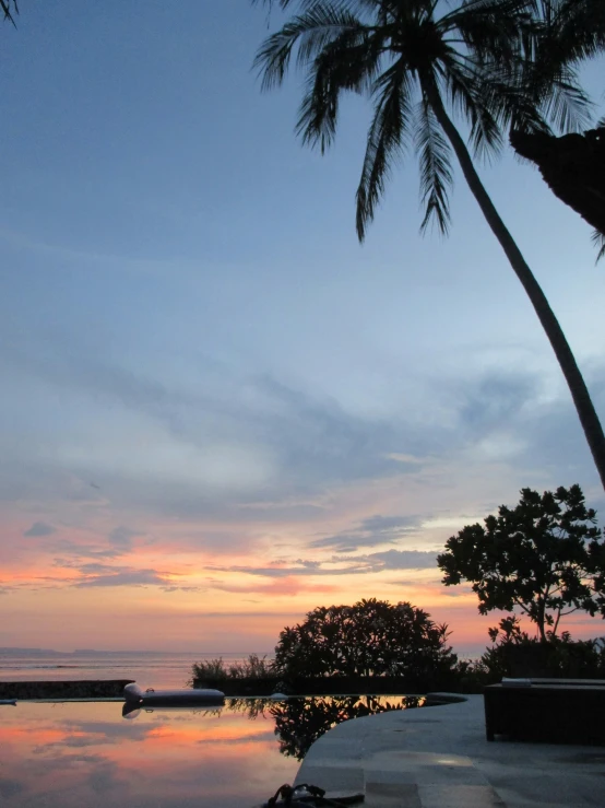 a boat sitting on the beach in front of a tree