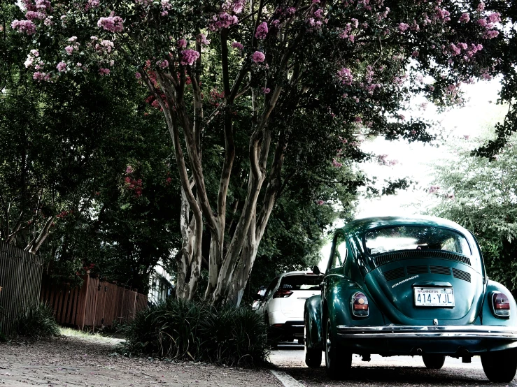 a blue truck is parked in the street with trees