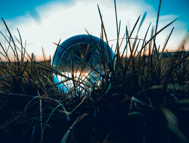 a ball is stuck on top of some grass