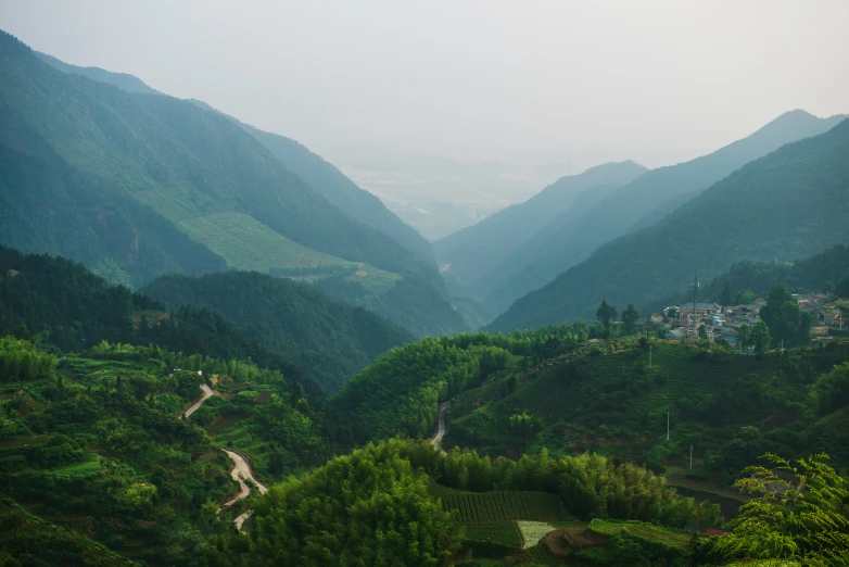 the mountains are covered in lush green vegetation