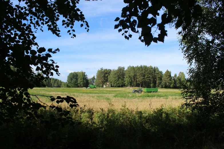 green truck in a field with trees behind it