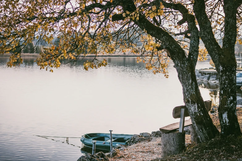 a boat parked next to the water next to trees