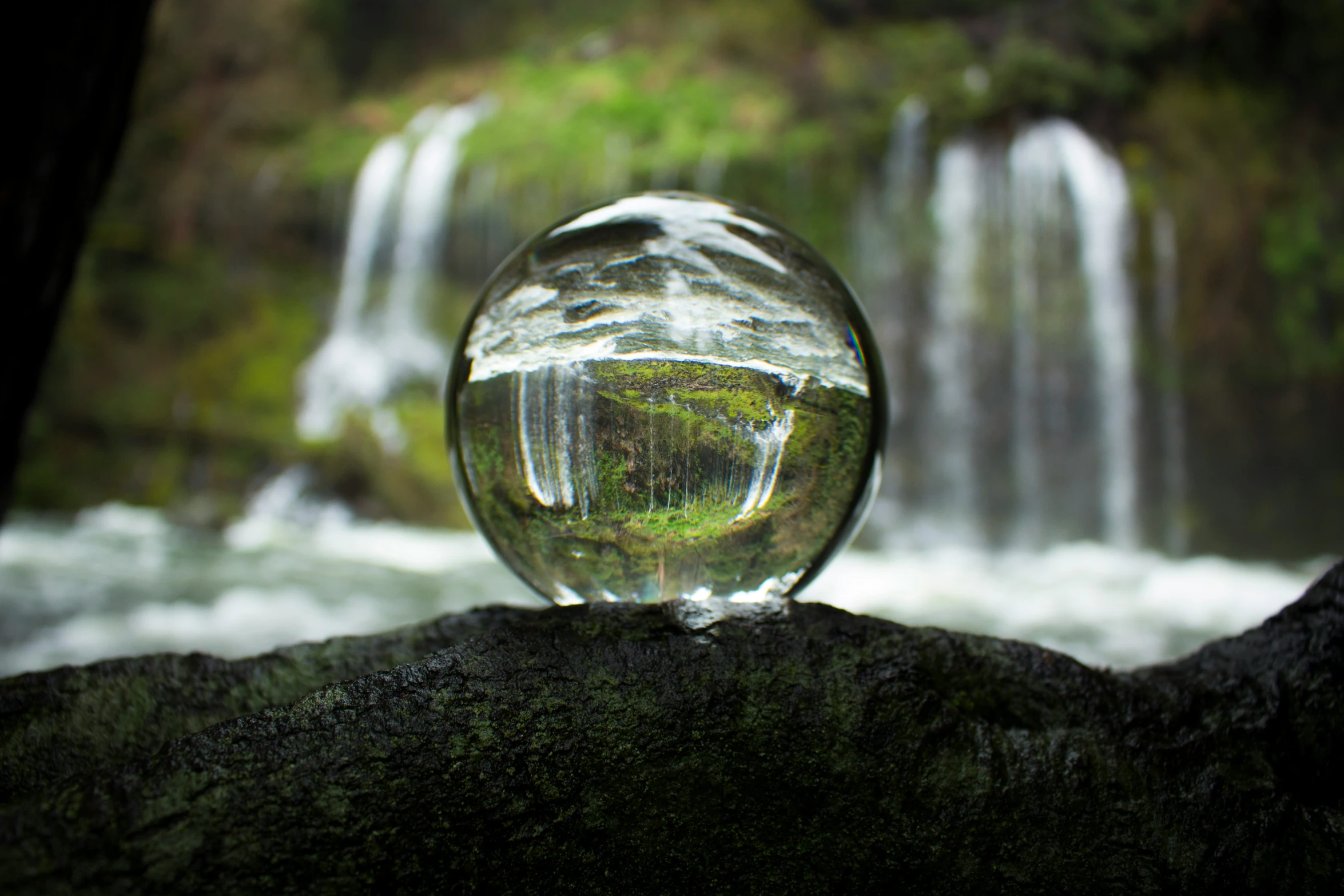 a glass globe with a mossy tree in front of a waterfall