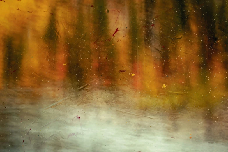 a dle of water next to trees with yellow leaves