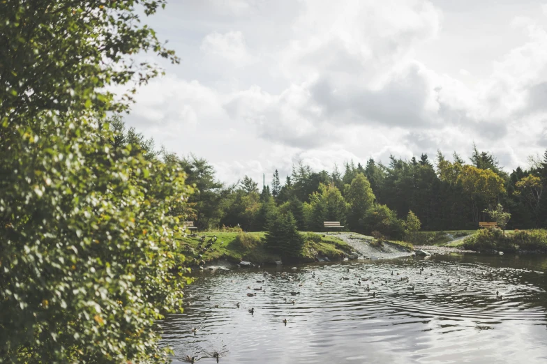 a view looking over a small lake from the side