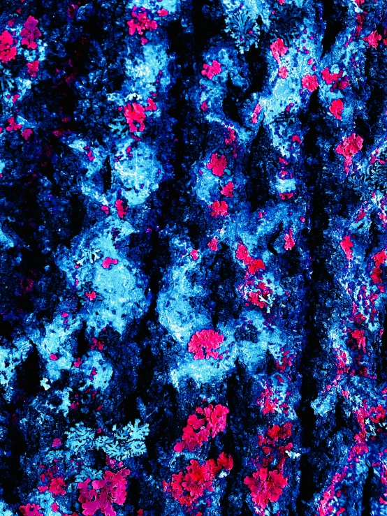 red and blue paint splattered over black paper