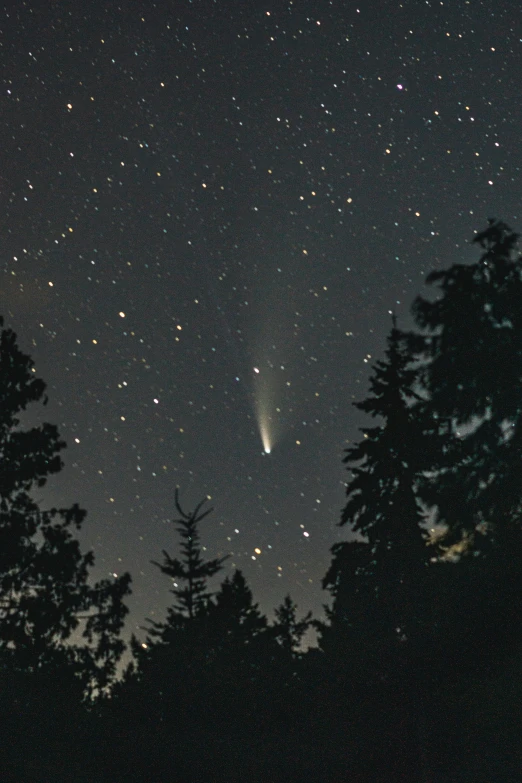 the night sky, with stars and some trees