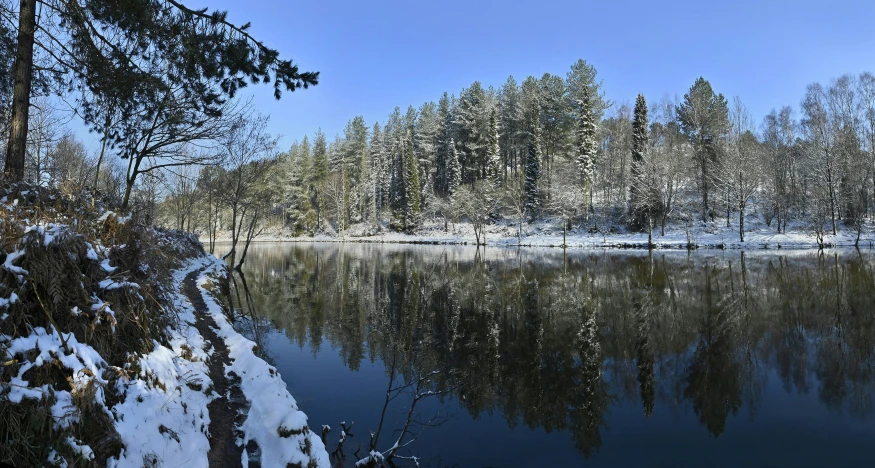 a winter scene of the water near the woods