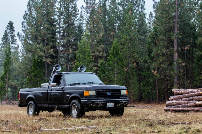 the truck has two skis on its roof and is parked in the woods