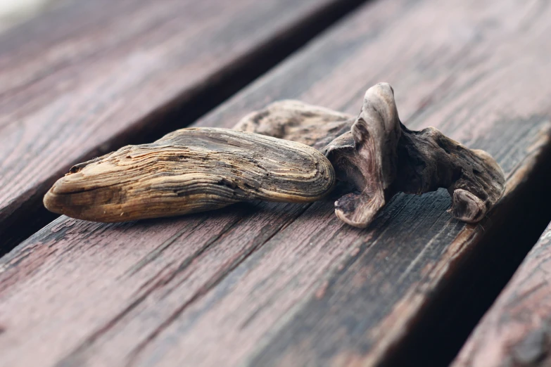 two pieces of wood that are on a wooden bench