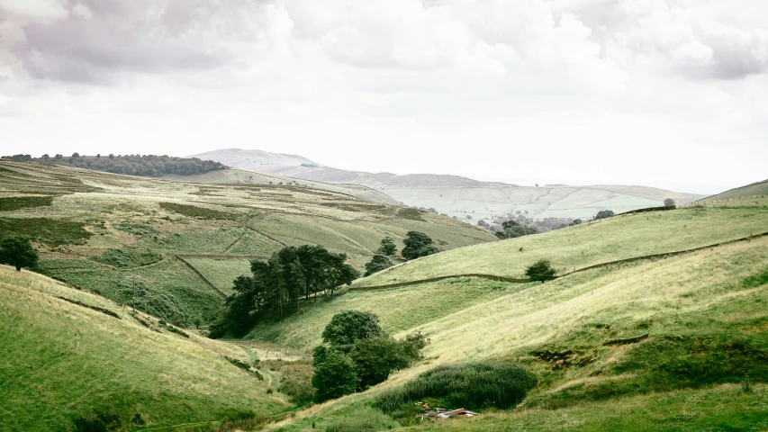 view of hills, pastures and trees near a hill top