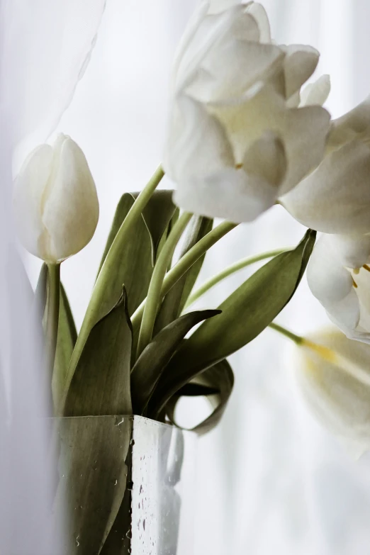 several white flowers are in a vase near a window