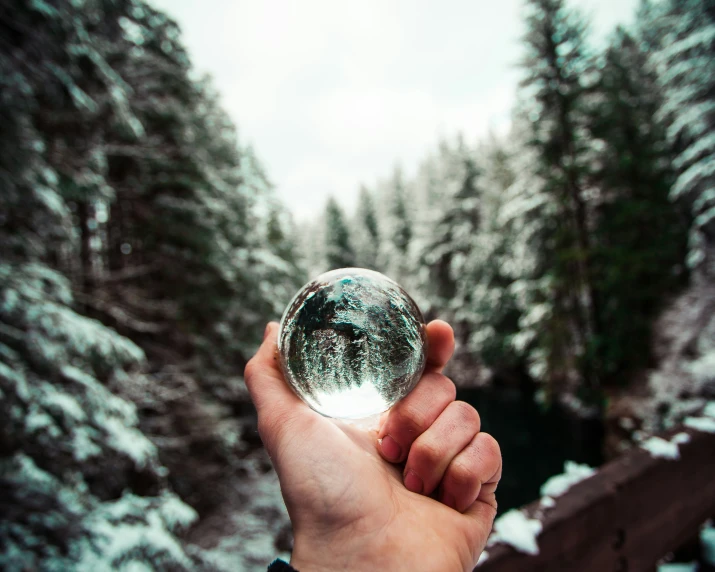 a hand holding up a snow globe near a forest