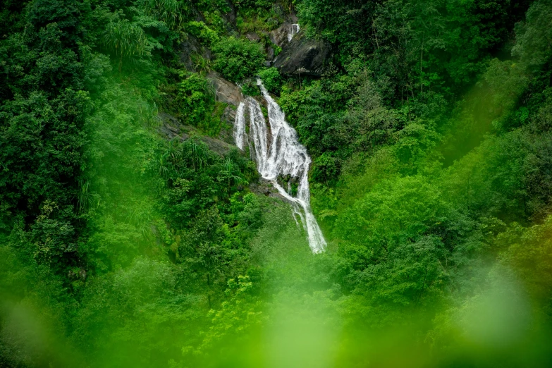 a waterfall is seen from above in the middle of green foliage