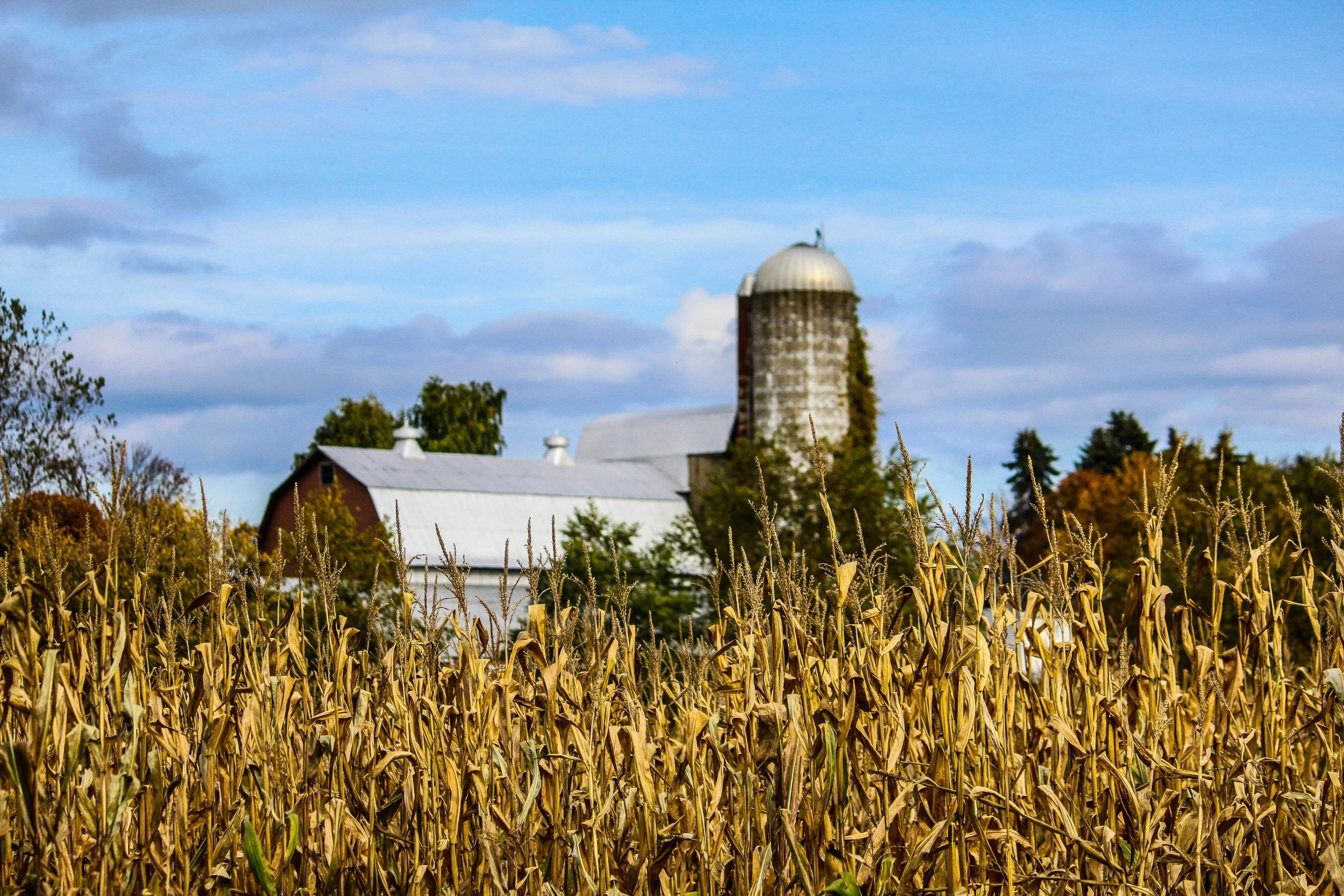 a field with a barn and other buildings