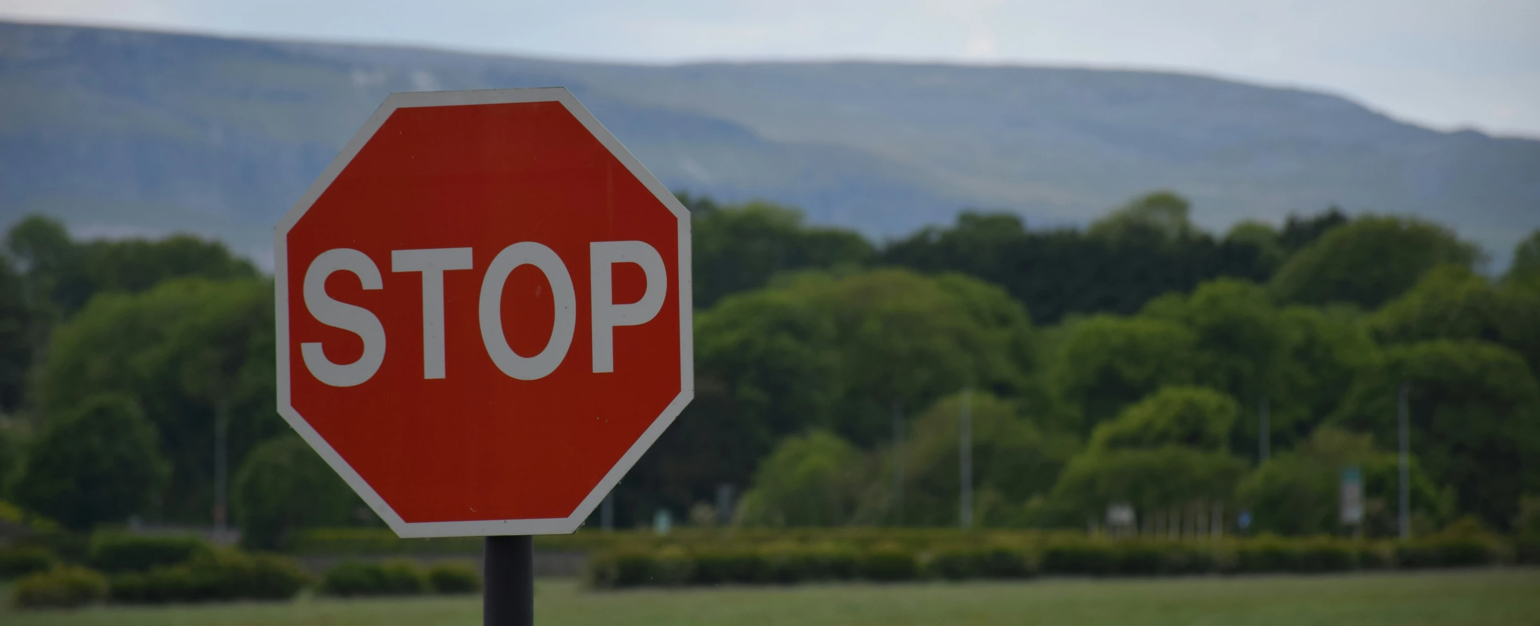 a red stop sign sitting on top of a grass covered field