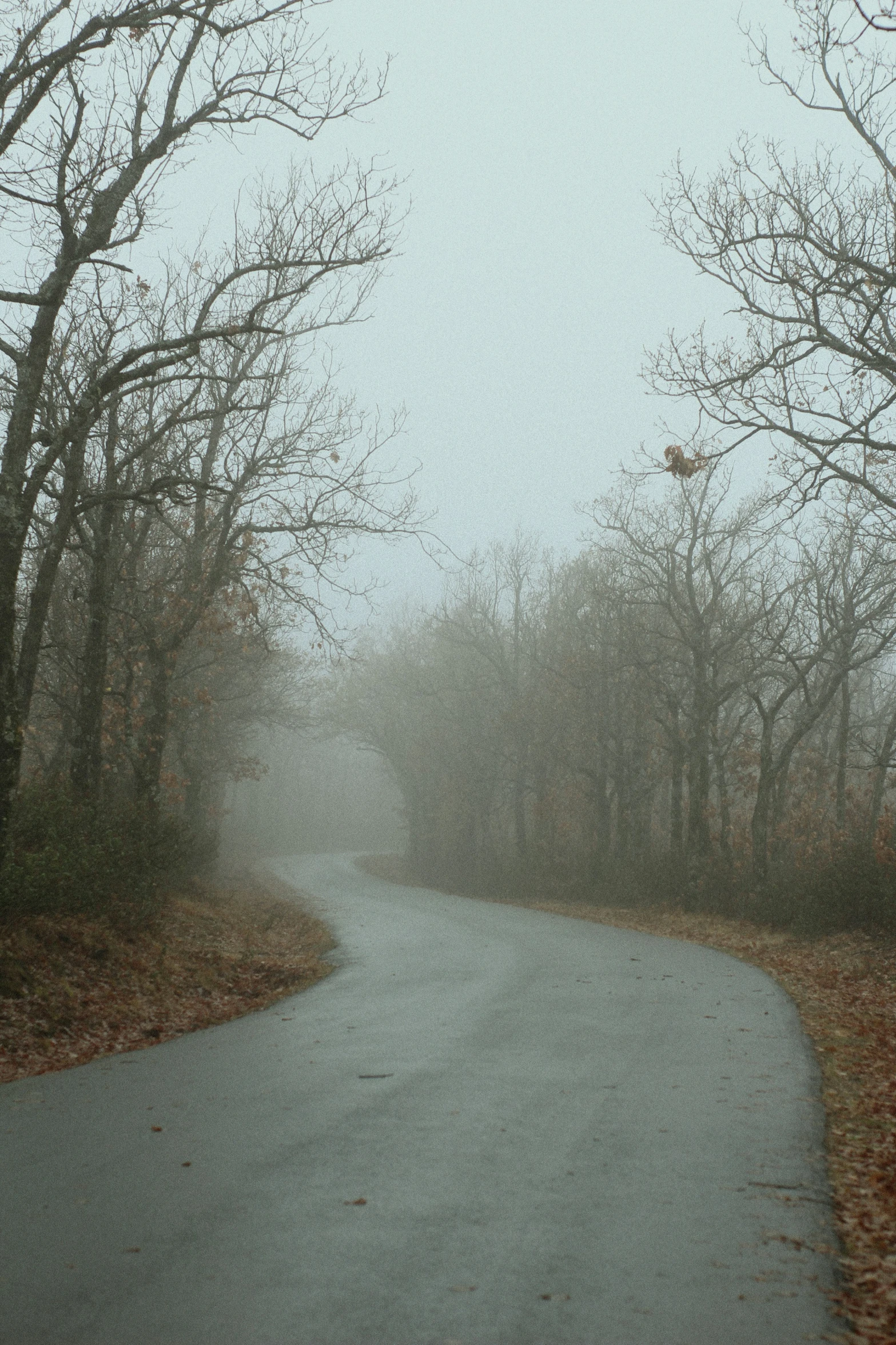 the road has a very tall umbrella over it