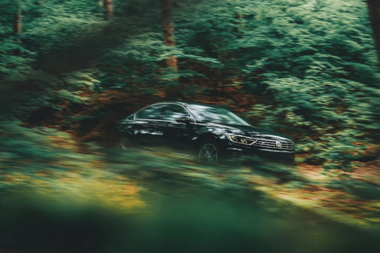 a car drives through the woods on a trail