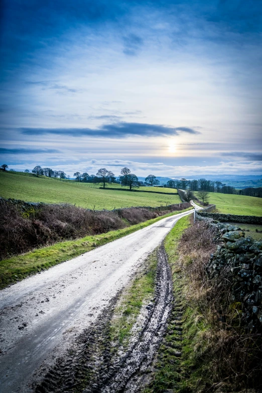 the dirt road is going through the field towards the sun