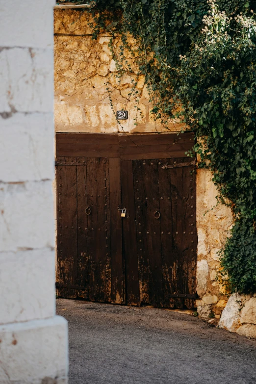 an old wooden door sits closed near some vines