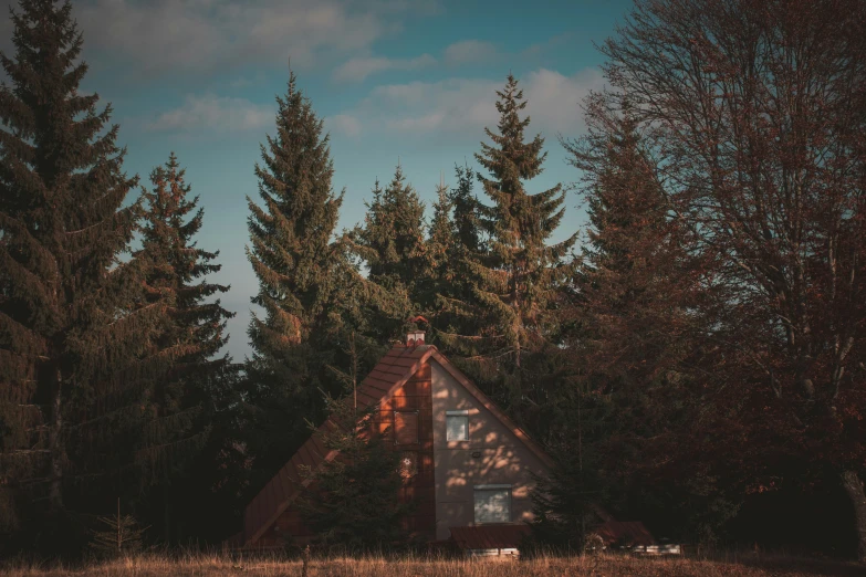 the house is on a dirt lot with trees around