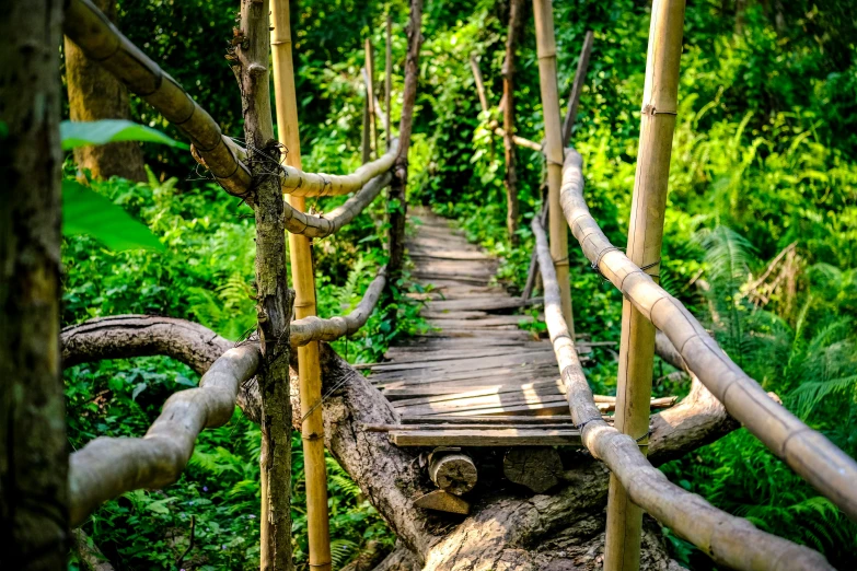 this is a bridge built with wood and nches