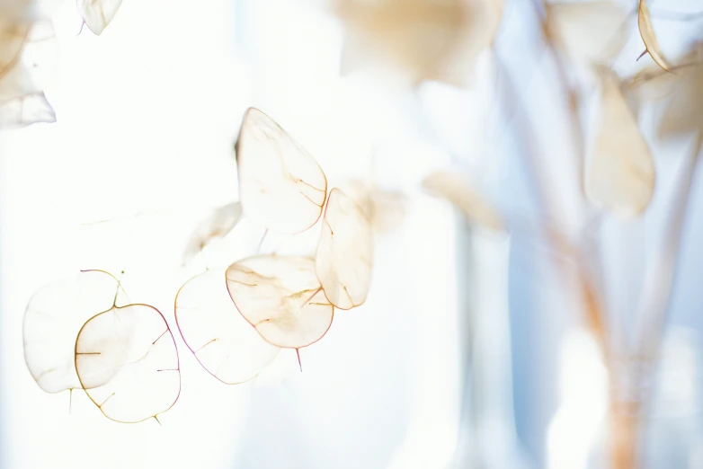 a bunch of flowers sitting in front of a glass window