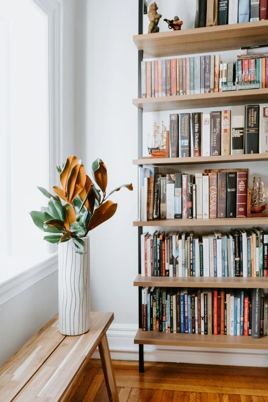 a book shelf with books, plants and other things on it