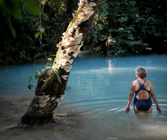 woman in swimsuit in shallow pool next to large tree