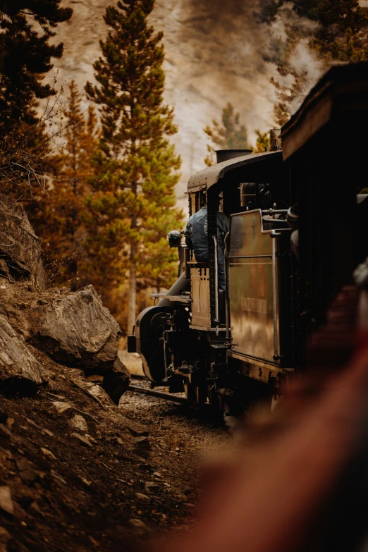 a large train on a steel track in the woods