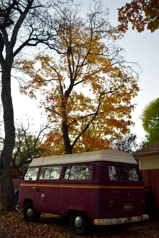 an old van with the roof up parked next to a tree