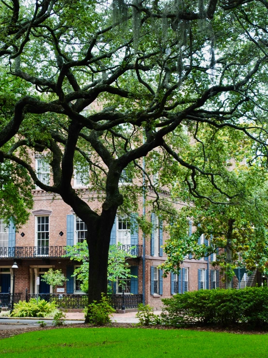 an old brick house is nestled under a large oak tree