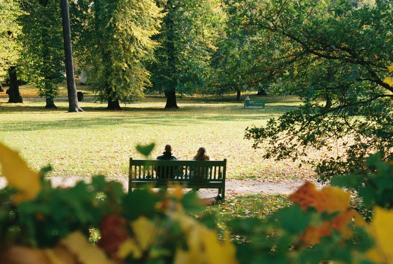 two people sitting on a park bench looking at some trees