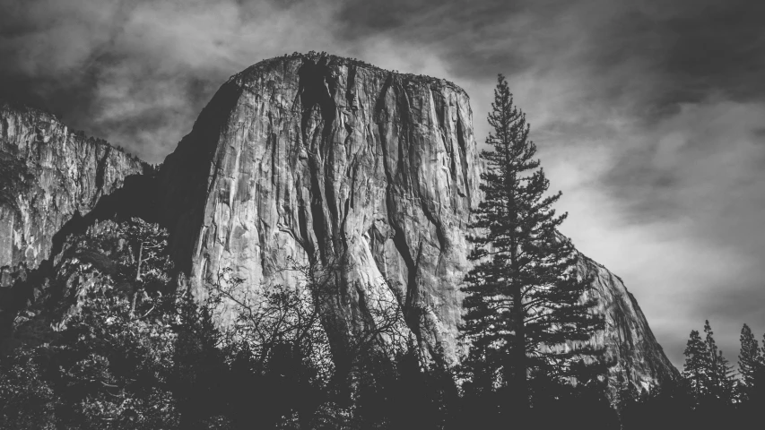 a very tall rock with some trees next to it