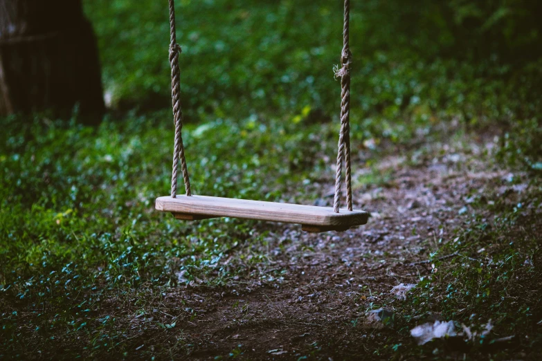 an empty swing in the grass on a tree stump