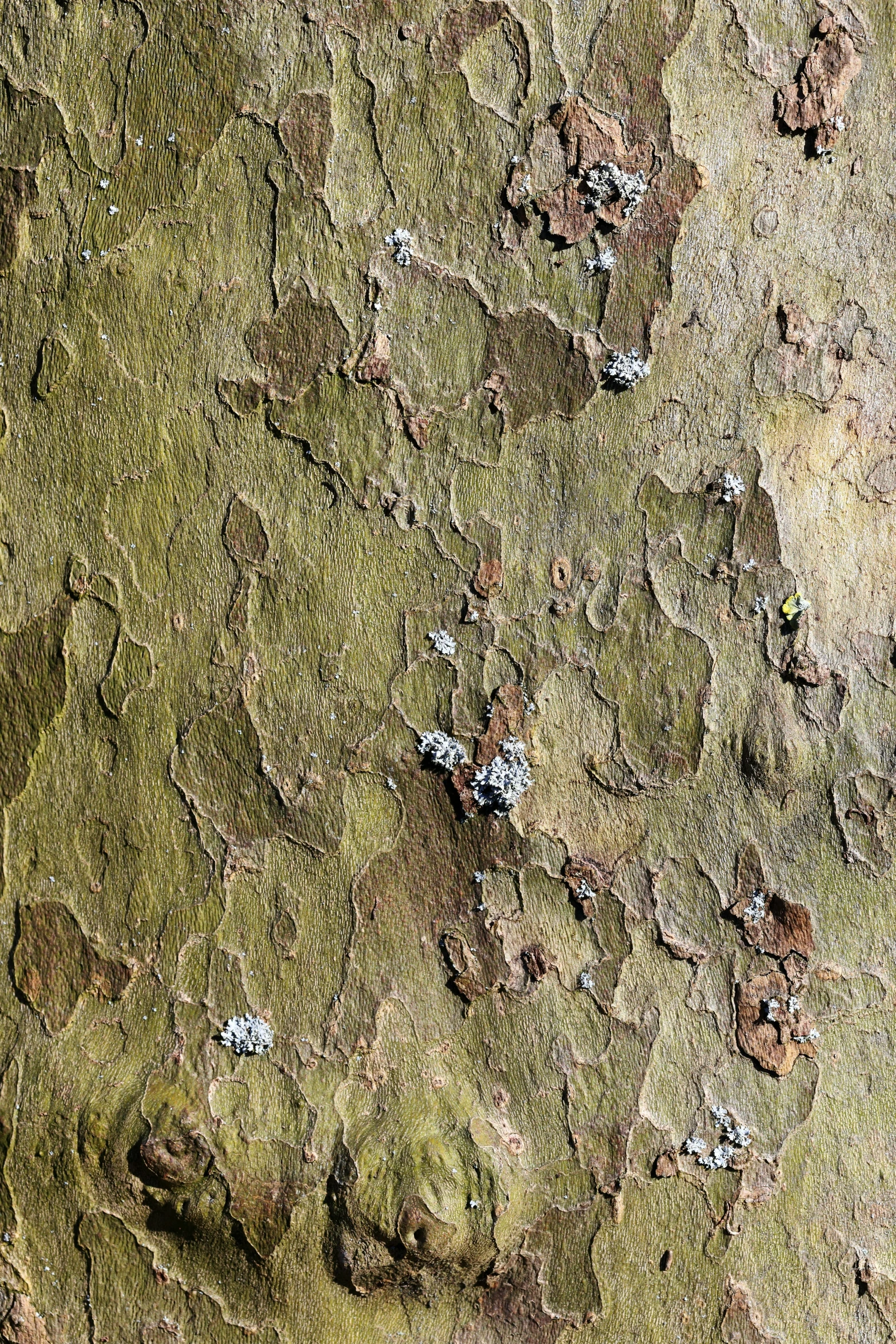 an overhead s of the soil of a hillside