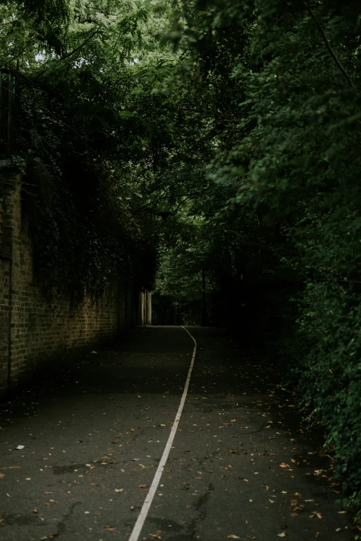 a black road with trees lining the wall