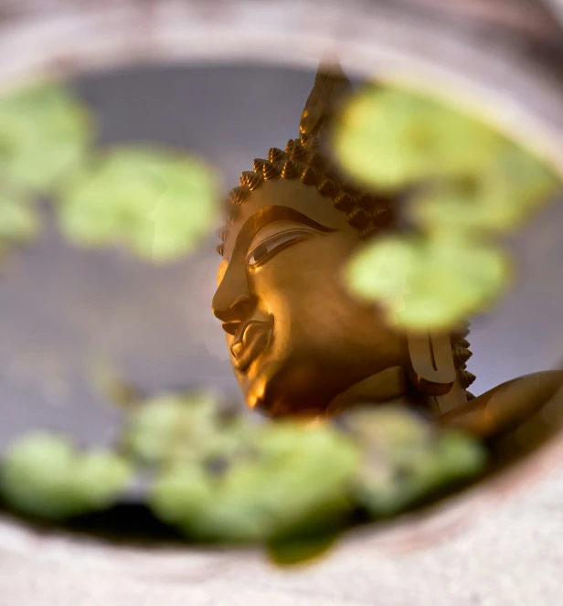 a buddha statue with its head in a mirror