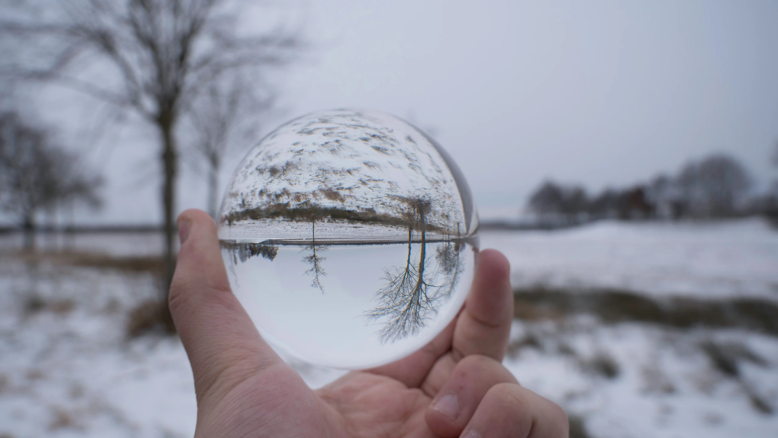 a snow covered field is seen in a round ball