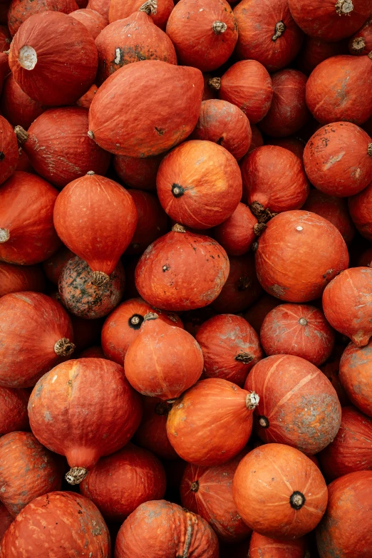 the bunch of orange fruit is displayed in close up