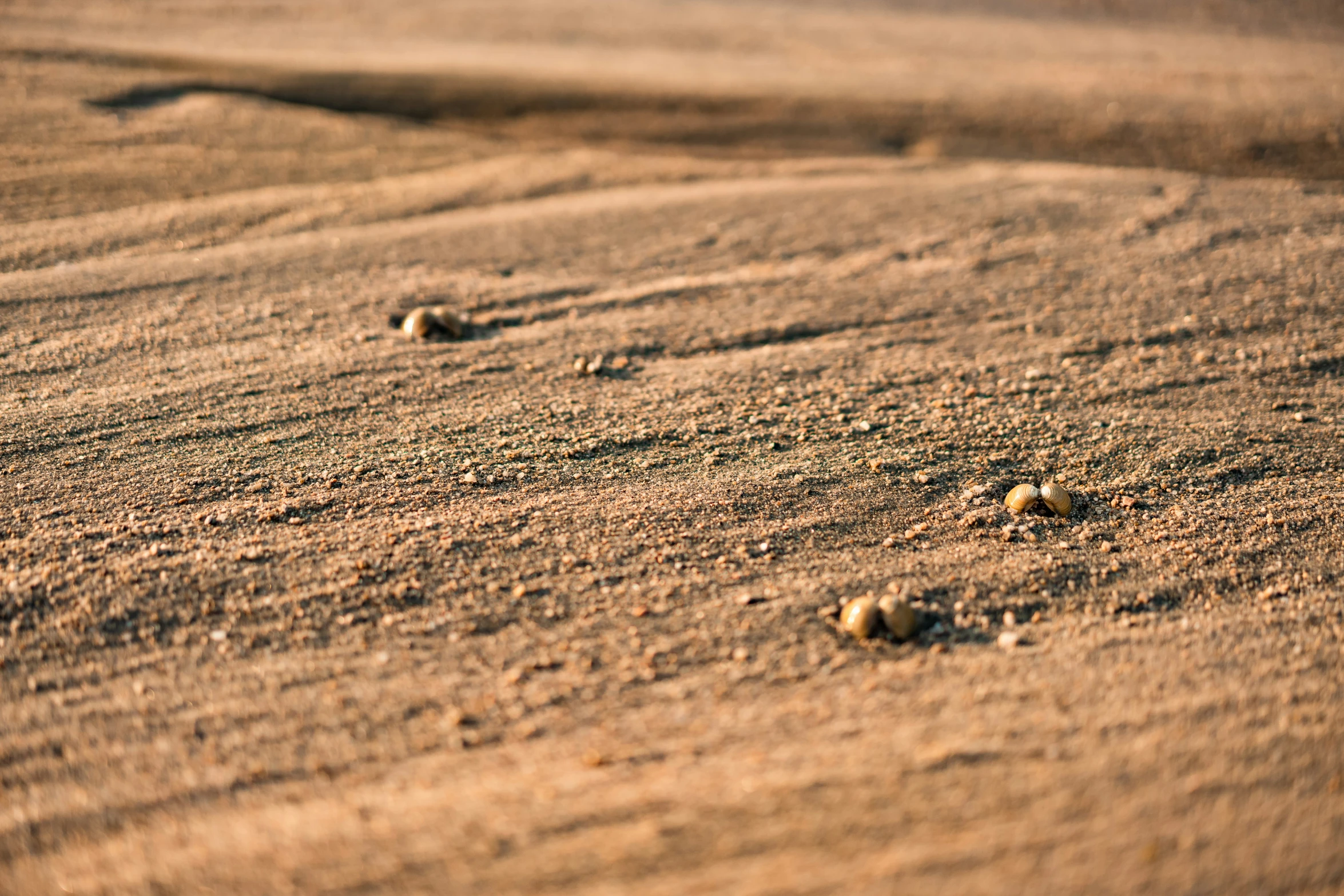 the small sand area has balls and stones