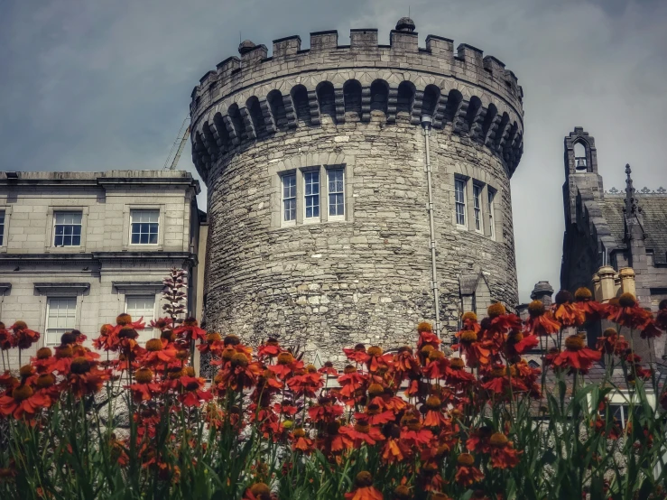 some tall stone buildings sitting behind red flowers