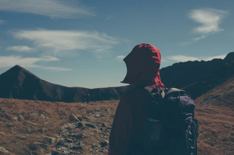 a person standing on a hillside in front of mountains