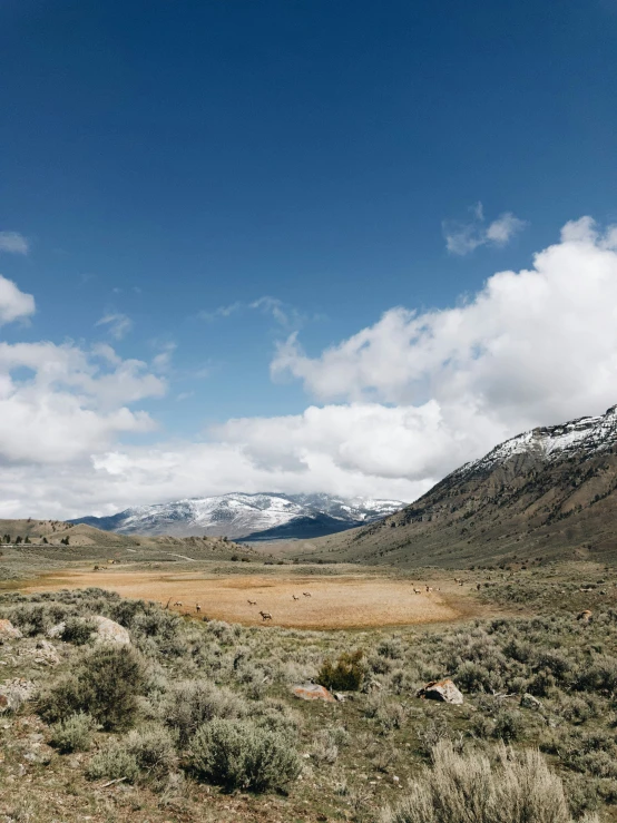 a beautiful view of the mountains covered in snow